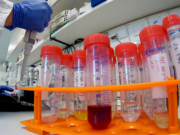 Le Royaume-Uni durcit ses relations envers la Chine suite au scandale des kits de détection contaminés